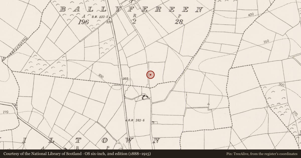 Ordnance Survey six-inch map, 2nd edition (1888–1915) covering the location of Mound, Ballyfereen, County Kilkenny, with a pin at the register's coordinates
