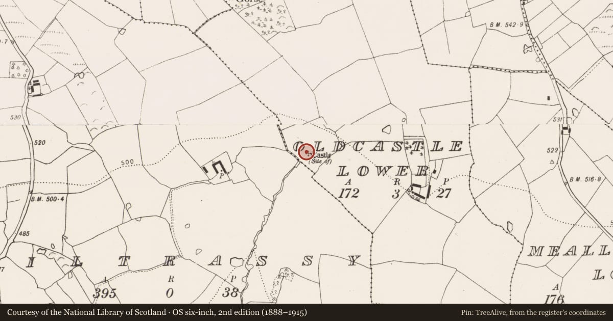 Ordnance Survey six-inch map, 2nd edition (1888–1915) covering the location of Castle - unclassified, Oldcastle Lower, County Kilkenny, with a pin at the register's coordinates