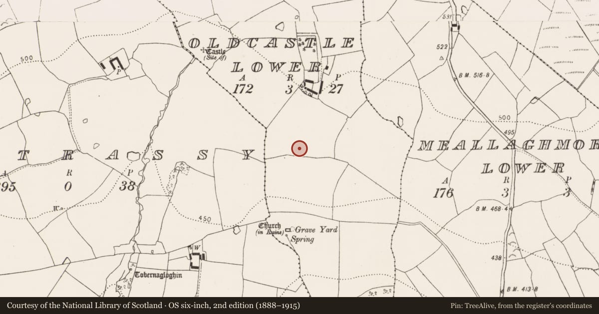 Ordnance Survey six-inch map, 2nd edition (1888–1915) covering the location of Ringfort - unclassified, Oldcastle Lower, County Kilkenny, with a pin at the register's coordinates