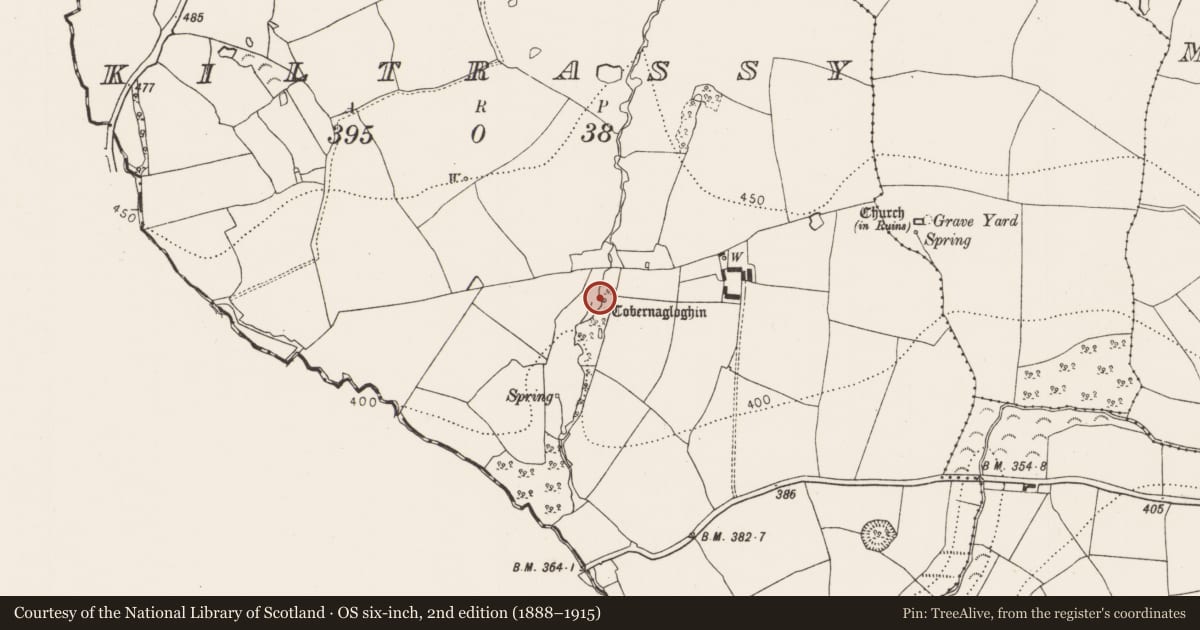 Ordnance Survey six-inch map, 2nd edition (1888–1915) covering the location of Ritual site - holy well, Kiltrassy, County Kilkenny, with a pin at the register's coordinates