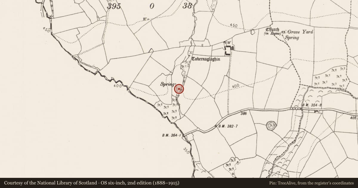 Ordnance Survey six-inch map, 2nd edition (1888–1915) covering the location of Fulacht fia, Kiltrassy, County Kilkenny, with a pin at the register's coordinates