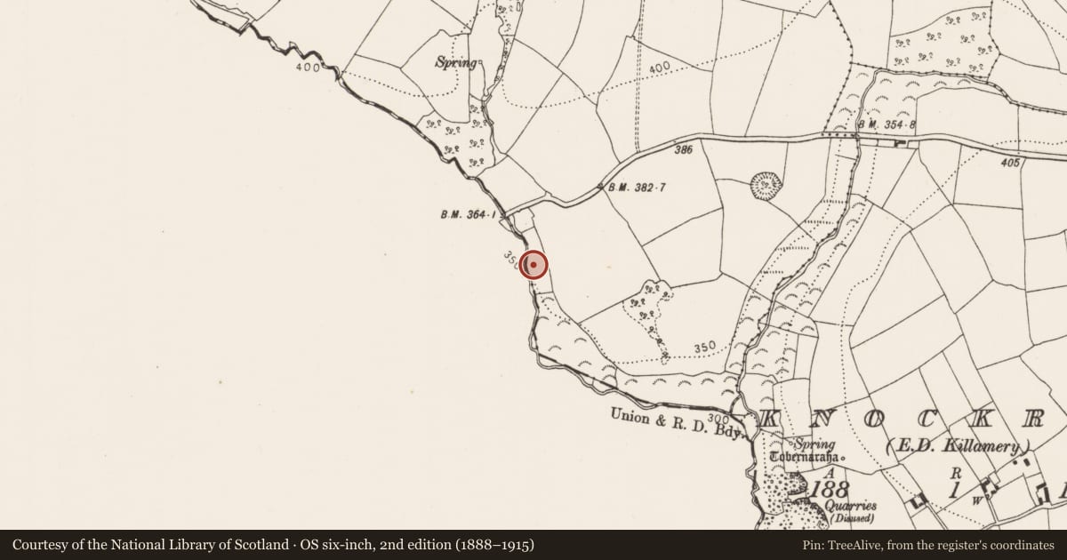 Ordnance Survey six-inch map, 2nd edition (1888–1915) covering the location of Fulacht fia, Kiltrassy, County Kilkenny, with a pin at the register's coordinates