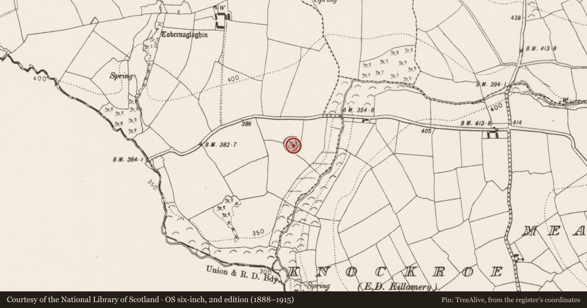 Ordnance Survey six-inch map, 2nd edition (1888–1915) covering the location of Castle - motte, Kiltrassy, County Kilkenny, with a pin at the register's coordinates