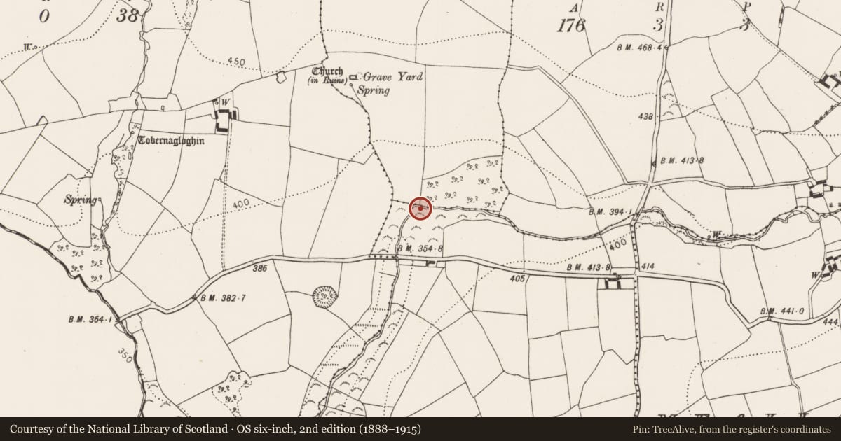 Ordnance Survey six-inch map, 2nd edition (1888–1915) covering the location of Fulacht fia, Knockroe, County Kilkenny, with a pin at the register's coordinates