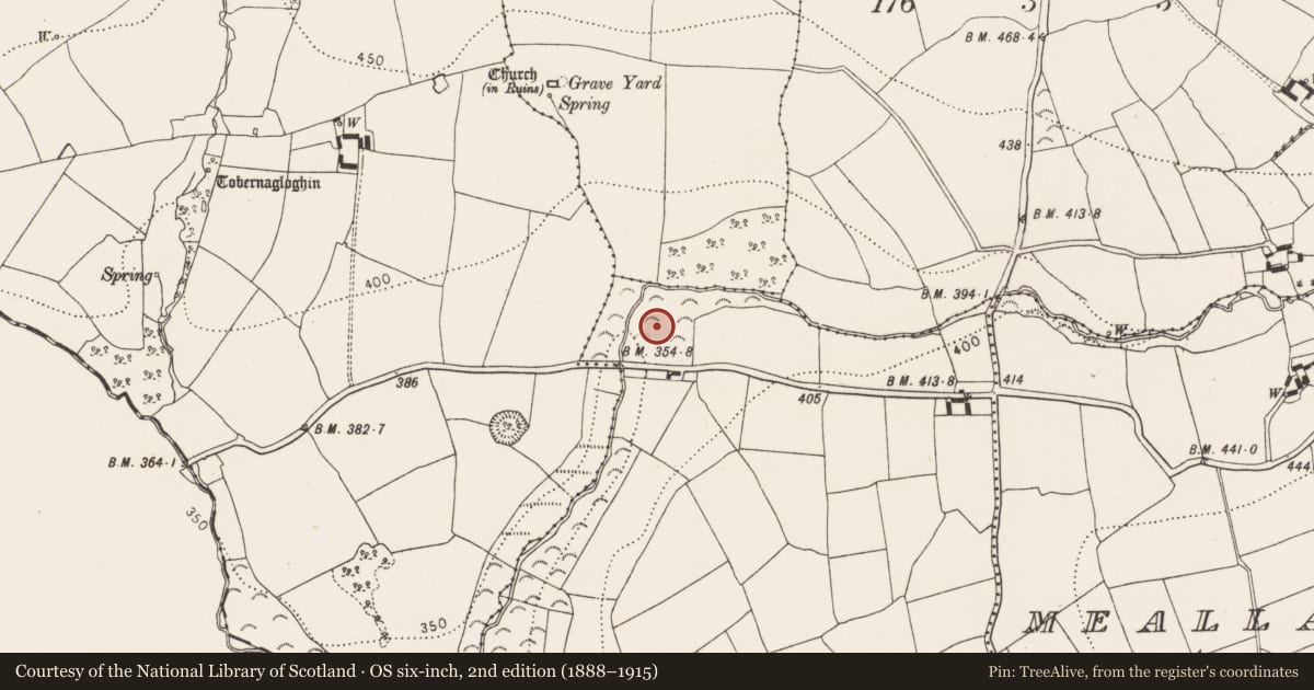 Ordnance Survey six-inch map, 2nd edition (1888–1915) covering the location of Standing stone, Knockroe, County Kilkenny, with a pin at the register's coordinates