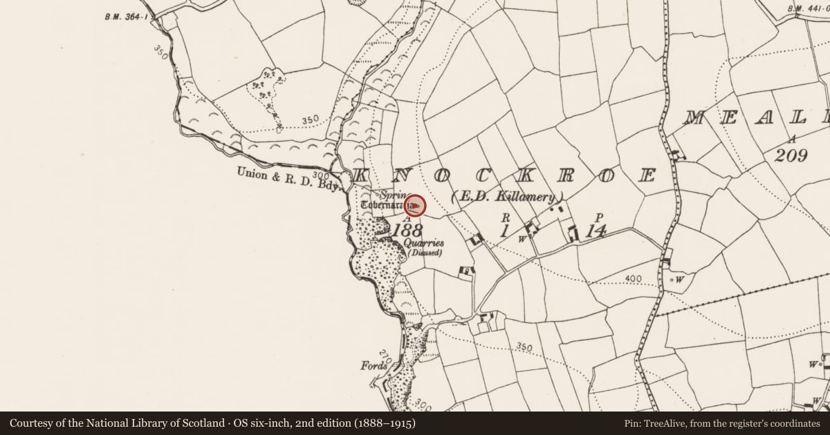Ordnance Survey six-inch map, 2nd edition (1888–1915) covering the location of Ritual site - holy well, Knockroe, County Kilkenny, with a pin at the register's coordinates