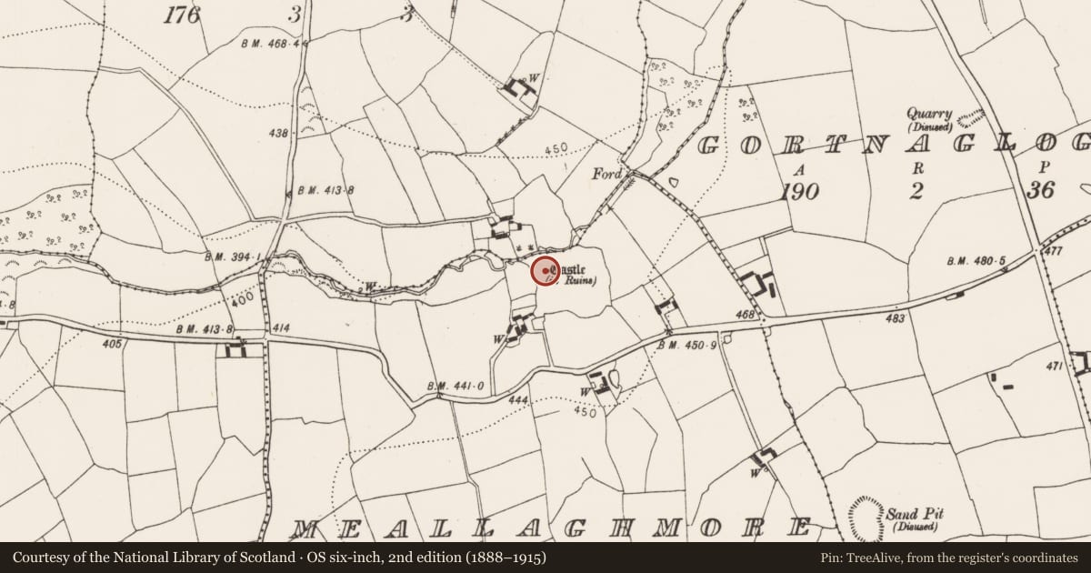 Ordnance Survey six-inch map, 2nd edition (1888–1915) covering the location of Castle - unclassified, Meallaghmore, County Kilkenny, with a pin at the register's coordinates