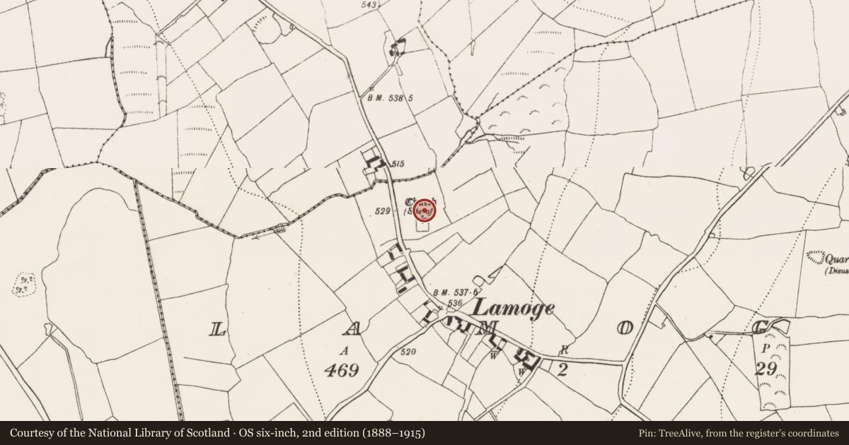 Ordnance Survey six-inch map, 2nd edition (1888–1915) covering the location of Ritual site - holy well, Lamoge, County Kilkenny, with a pin at the register's coordinates