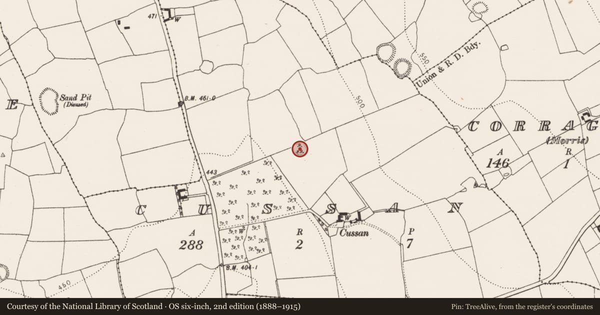 Ordnance Survey six-inch map, 2nd edition (1888–1915) covering the location of Ringfort - rath, Cussan, County Kilkenny, with a pin at the register's coordinates