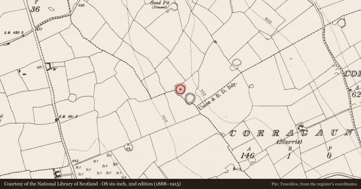Ordnance Survey six-inch map, 2nd edition (1888–1915) covering the location of Ringfort - rath, Lamoge, County Kilkenny, with a pin at the register's coordinates