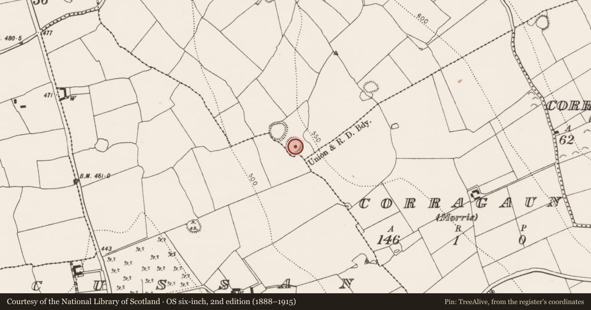 Ordnance Survey six-inch map, 2nd edition (1888–1915) covering the location of Ringfort - rath, Lamoge, County Kilkenny, with a pin at the register's coordinates