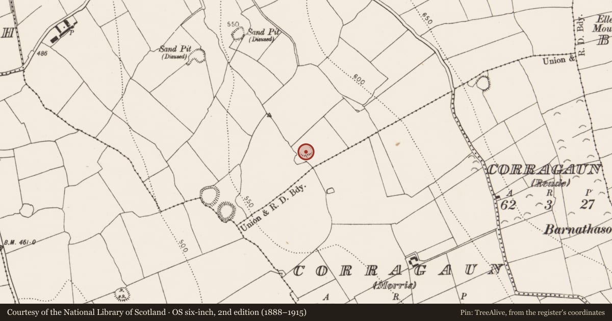 Ordnance Survey six-inch map, 2nd edition (1888–1915) covering the location of Ringfort - unclassified, Lamoge, County Kilkenny, with a pin at the register's coordinates