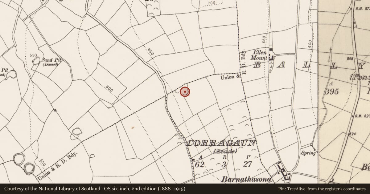 Ordnance Survey six-inch map, 2nd edition (1888–1915) covering the location of Ringfort - rath, Corragaun (Reade), County Kilkenny, with a pin at the register's coordinates