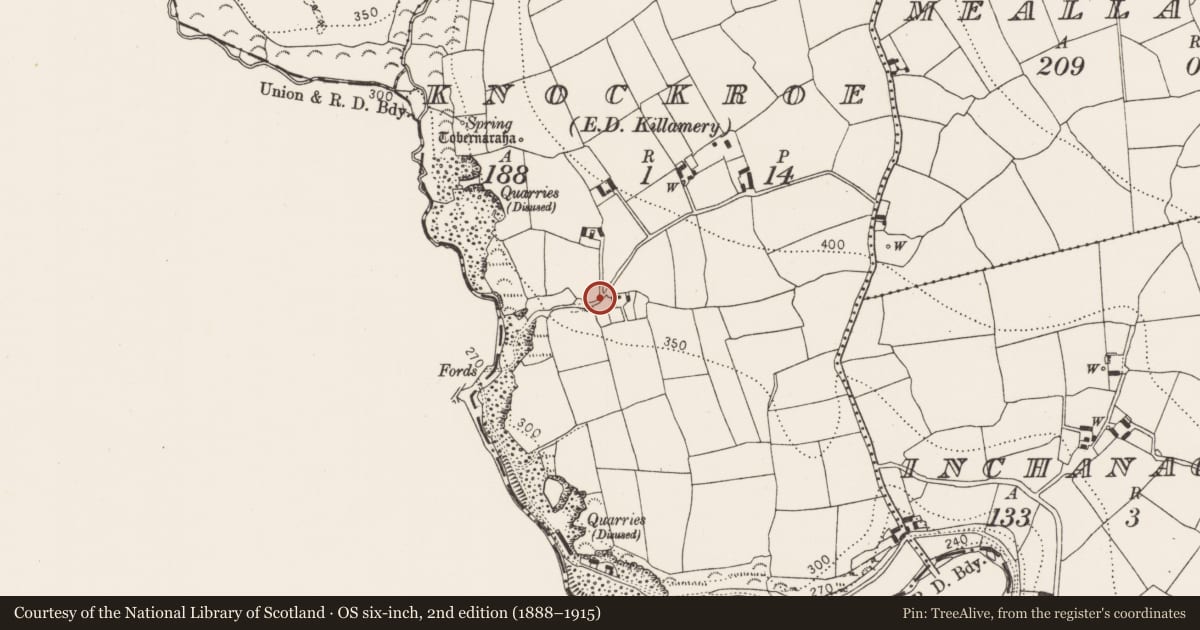 Ordnance Survey six-inch map, 2nd edition (1888–1915) covering the location of Ritual site - holy well, Knockroe, County Kilkenny, with a pin at the register's coordinates