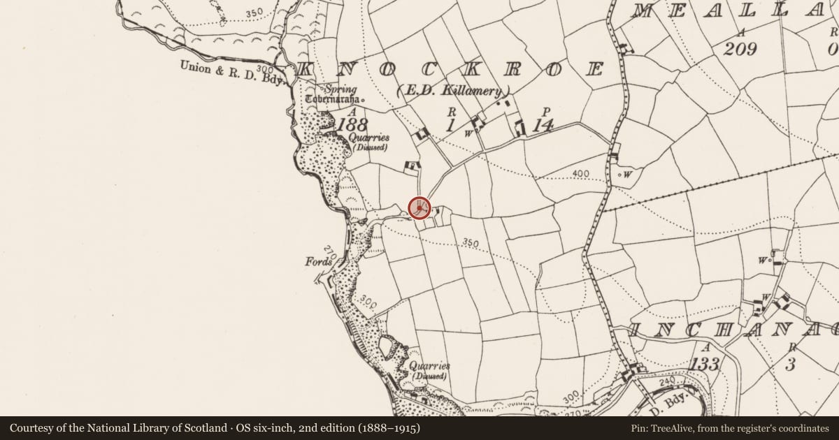 Ordnance Survey six-inch map, 2nd edition (1888–1915) covering the location of Passage tomb art, Knockroe, County Kilkenny, with a pin at the register's coordinates