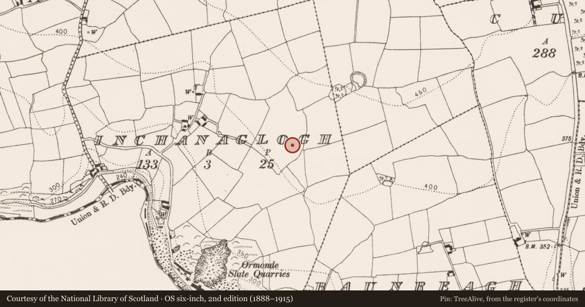 Ordnance Survey six-inch map, 2nd edition (1888–1915) covering the location of Earthwork, Inchanaglogh, County Kilkenny, with a pin at the register's coordinates