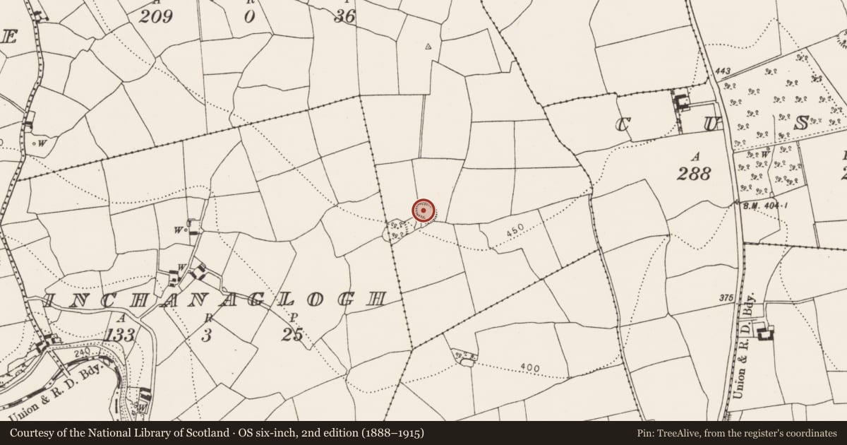 Ordnance Survey six-inch map, 2nd edition (1888–1915) covering the location of Ringfort - unclassified, Meallaghmore, County Kilkenny, with a pin at the register's coordinates