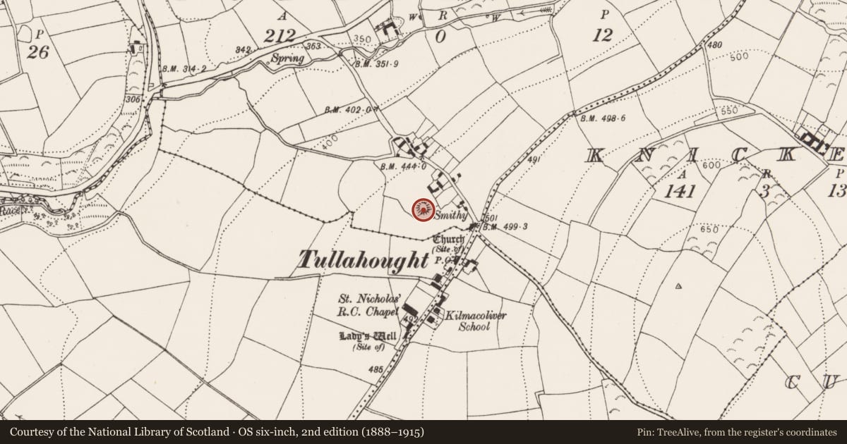 Ordnance Survey six-inch map, 2nd edition (1888–1915) covering the location of Castle - motte, Tullahought, County Kilkenny, with a pin at the register's coordinates