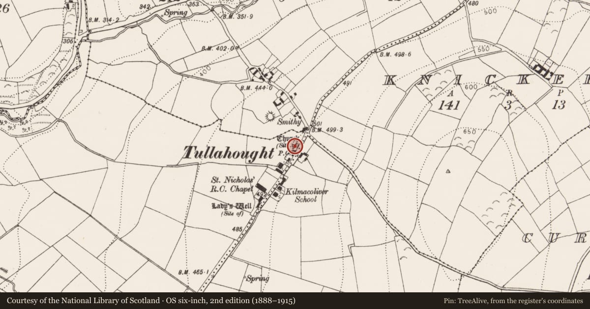 Ordnance Survey six-inch map, 2nd edition (1888–1915) covering the location of Graveyard, Kilmacoliver, County Kilkenny, with a pin at the register's coordinates