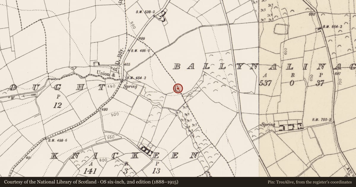 Ordnance Survey six-inch map, 2nd edition (1888–1915) covering the location of Ringfort - rath, Ballynalinagh, Knickeen, County Kilkenny, with a pin at the register's coordinates