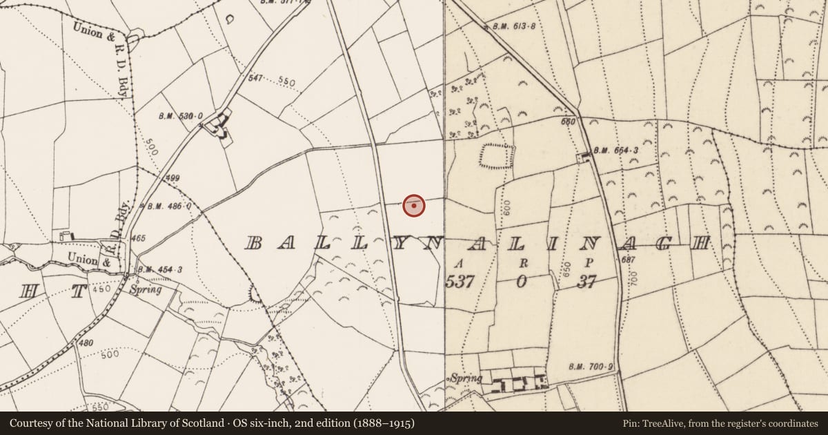 Ordnance Survey six-inch map, 2nd edition (1888–1915) covering the location of Enclosure, Ballynalinagh, County Kilkenny, with a pin at the register's coordinates