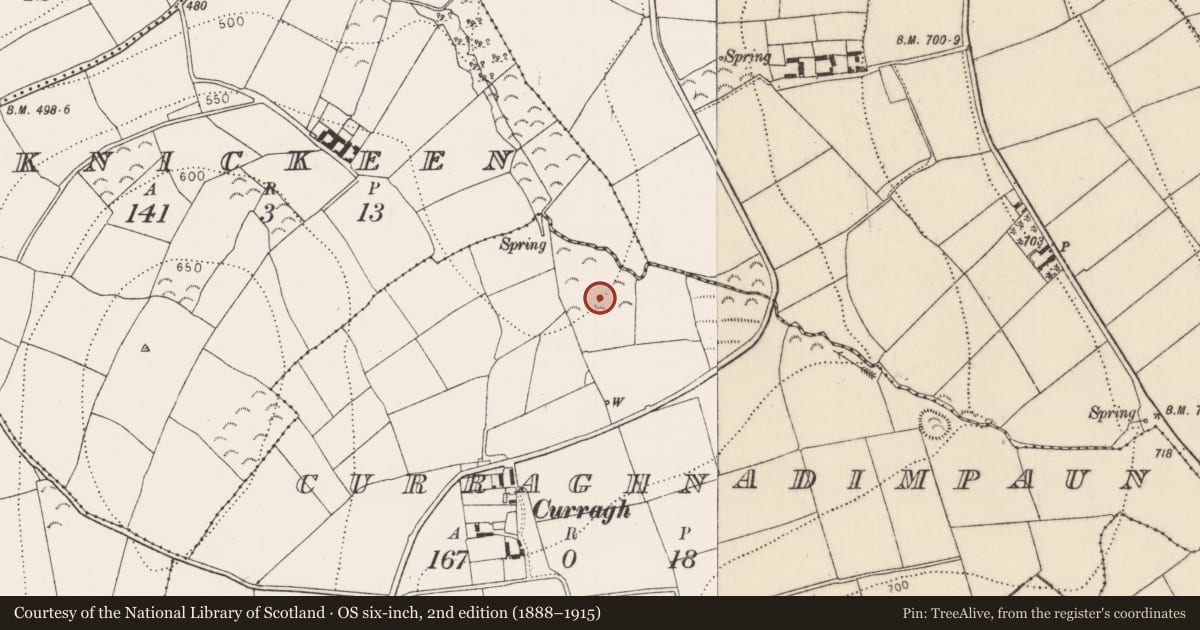 Ordnance Survey six-inch map, 2nd edition (1888–1915) covering the location of Earthwork, Curraghnadimpaun, County Kilkenny, with a pin at the register's coordinates
