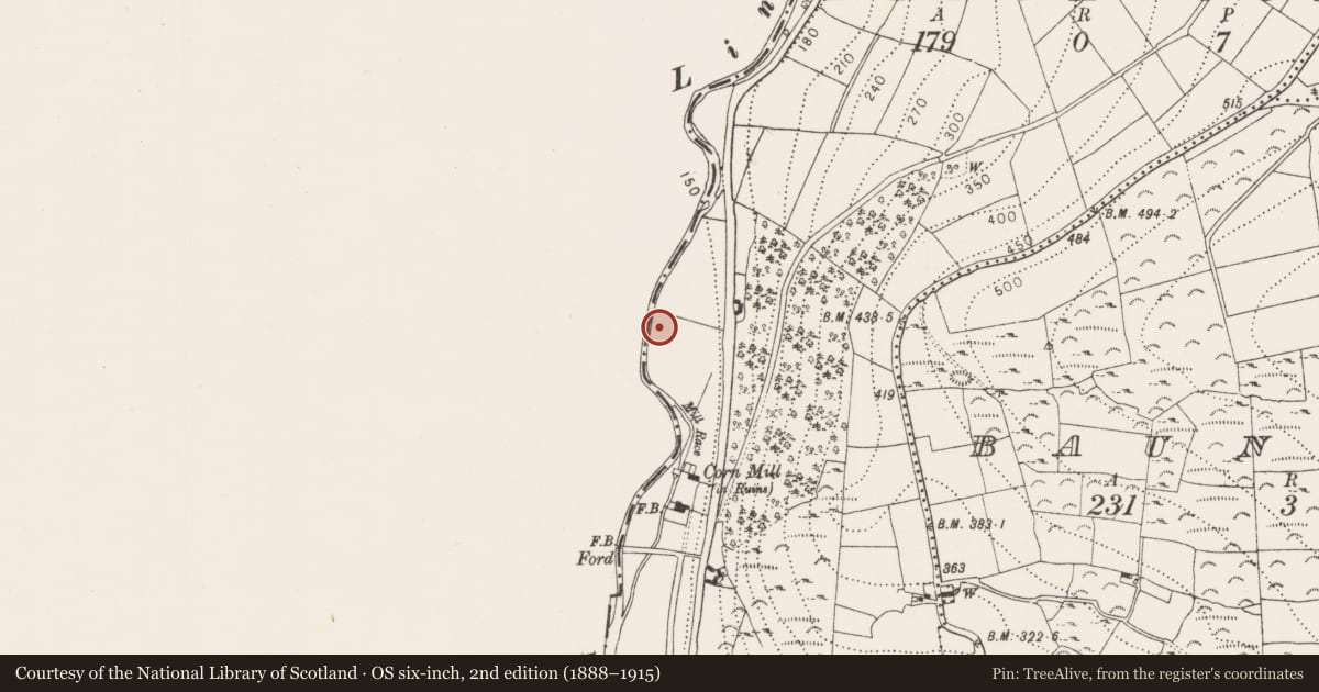 Ordnance Survey six-inch map, 2nd edition (1888–1915) covering the location of Fulacht fia, Birchwood, County Kilkenny, with a pin at the register's coordinates