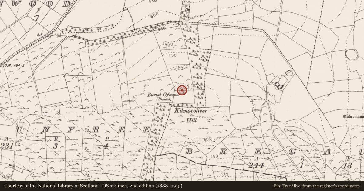 Ordnance Survey six-inch map, 2nd edition (1888–1915) covering the location of Megalithic tomb - passage tomb, Baunfree, County Kilkenny, with a pin at the register's coordinates
