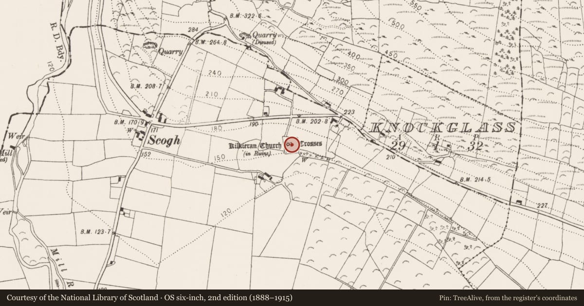 Ordnance Survey six-inch map, 2nd edition (1888–1915) covering the location of Cross - High cross, Castletown, County Kilkenny, with a pin at the register's coordinates