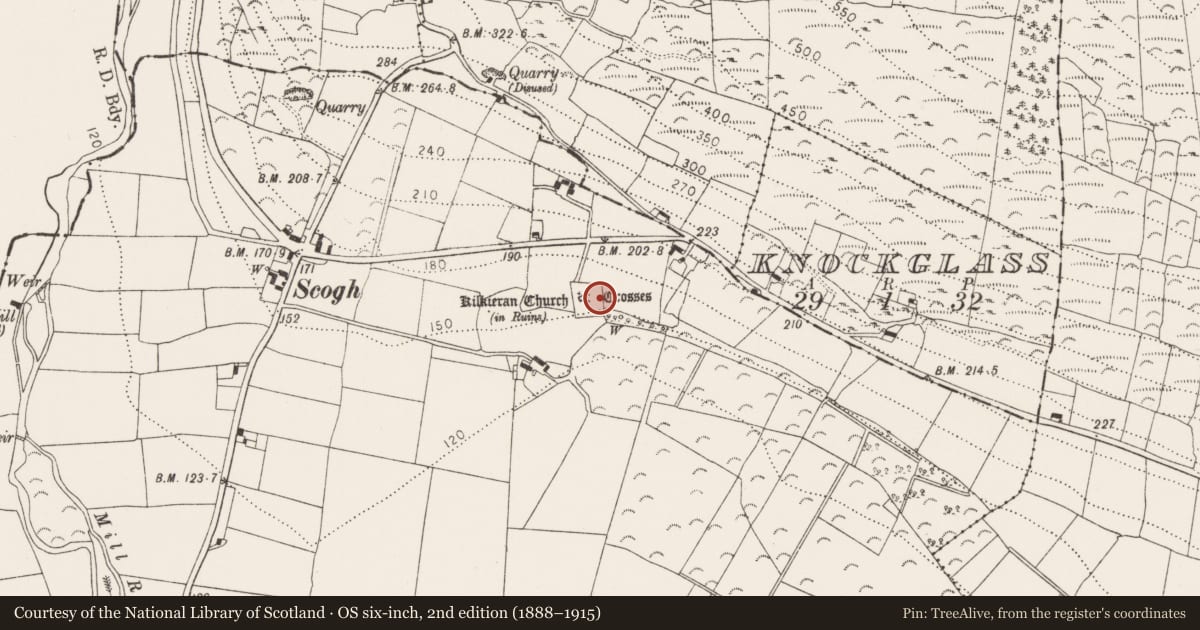 Ordnance Survey six-inch map, 2nd edition (1888–1915) covering the location of Standing stone, Castletown, County Kilkenny, with a pin at the register's coordinates