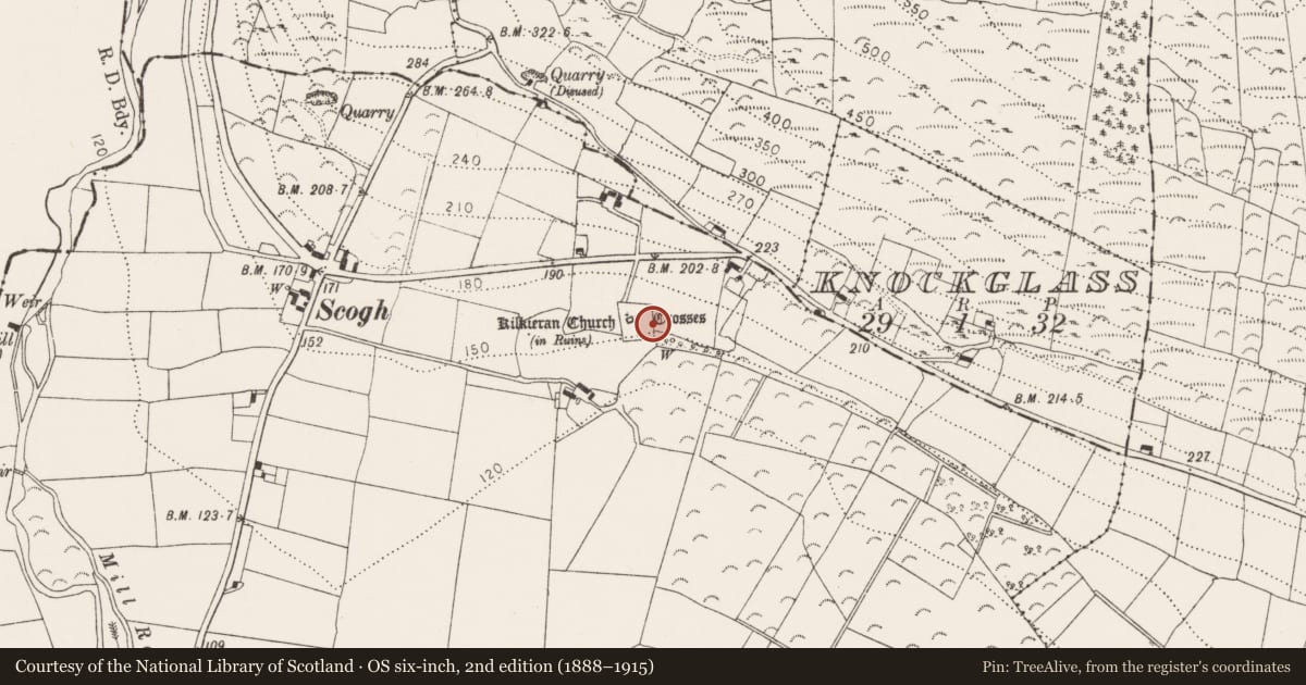 Ordnance Survey six-inch map, 2nd edition (1888–1915) covering the location of Bullaun stone, Castletown, County Kilkenny, with a pin at the register's coordinates