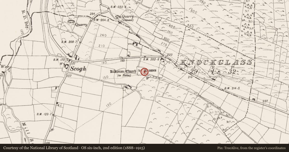 Ordnance Survey six-inch map, 2nd edition (1888–1915) covering the location of Bullaun stone, Castletown, County Kilkenny, with a pin at the register's coordinates