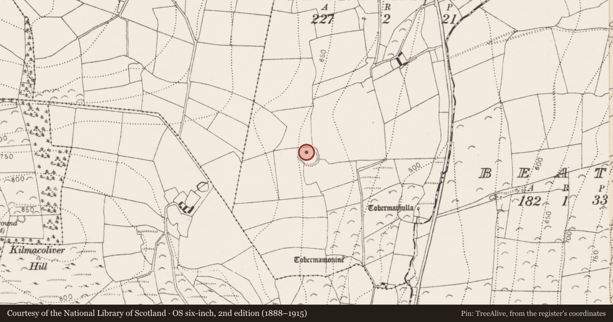 Ordnance Survey six-inch map, 2nd edition (1888–1915) covering the location of Ringfort - rath, Glencommaun, County Kilkenny, with a pin at the register's coordinates
