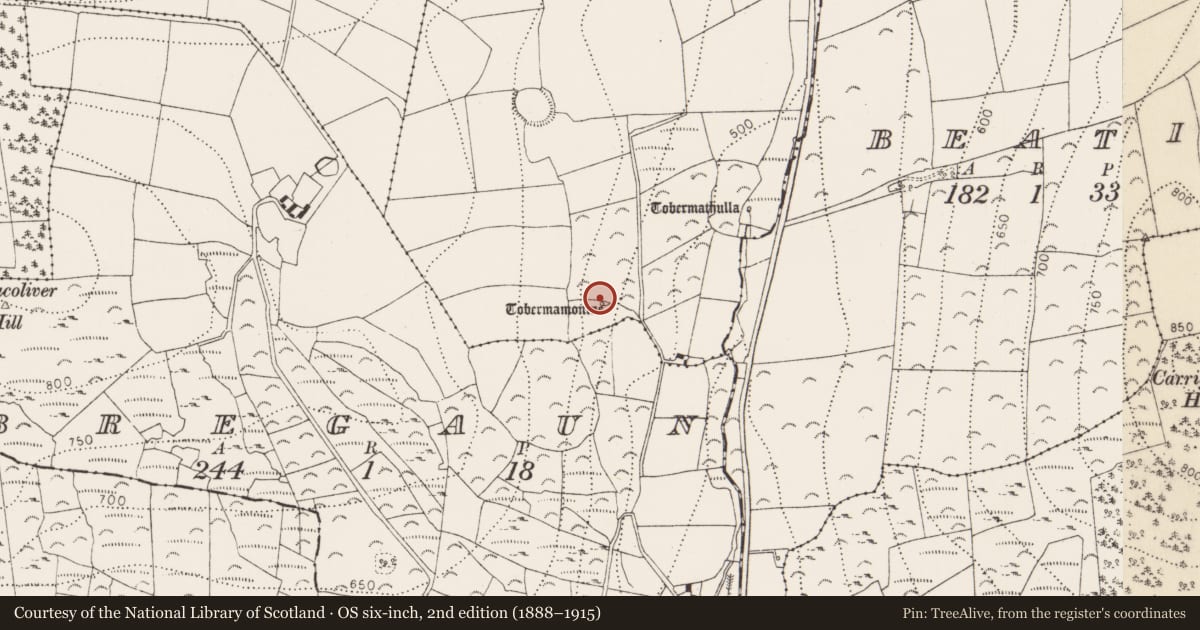 Ordnance Survey six-inch map, 2nd edition (1888–1915) covering the location of Ritual site - holy well, Glencommaun, County Kilkenny, with a pin at the register's coordinates