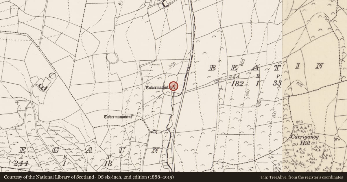 Ordnance Survey six-inch map, 2nd edition (1888–1915) covering the location of Ritual site - holy well, Glencommaun, County Kilkenny, with a pin at the register's coordinates