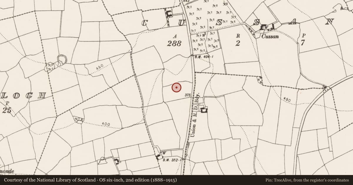 Ordnance Survey six-inch map, 2nd edition (1888–1915) covering the location of Field boundary, Cussan, County Kilkenny, with a pin at the register's coordinates