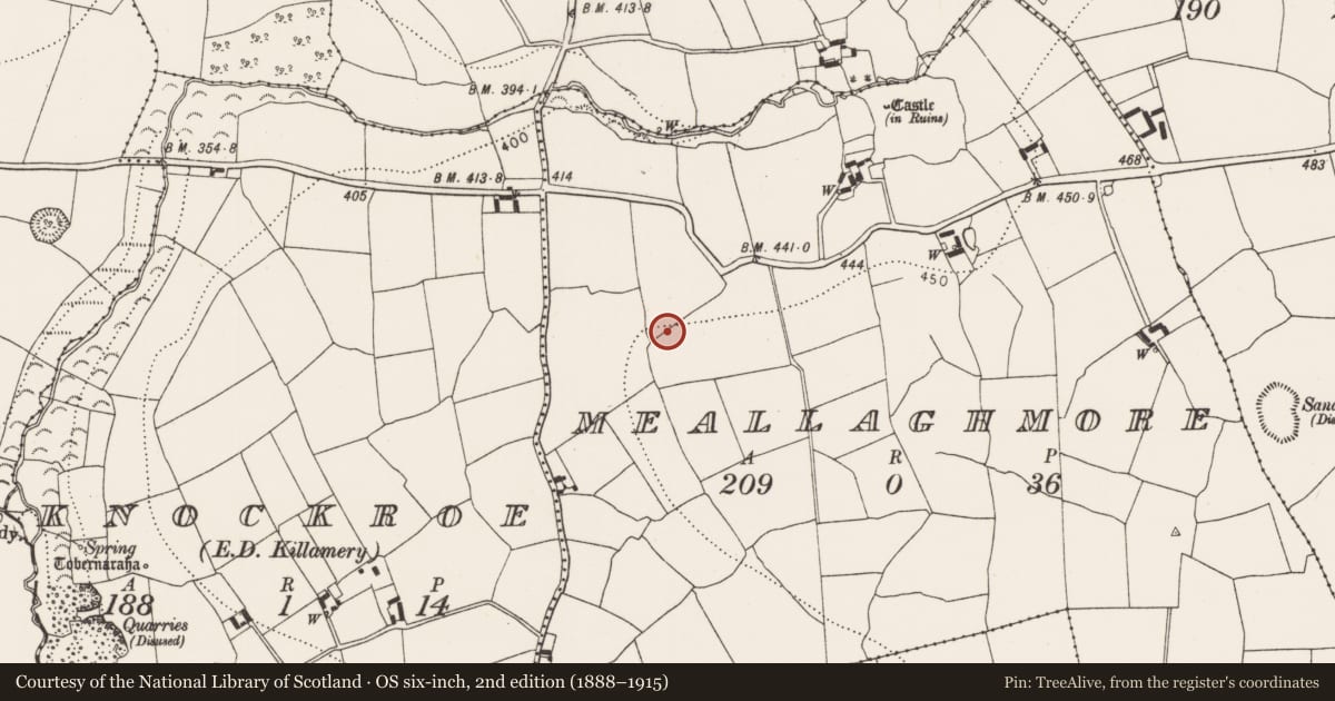 Ordnance Survey six-inch map, 2nd edition (1888–1915) covering the location of Standing stone, Meallaghmore, County Kilkenny, with a pin at the register's coordinates
