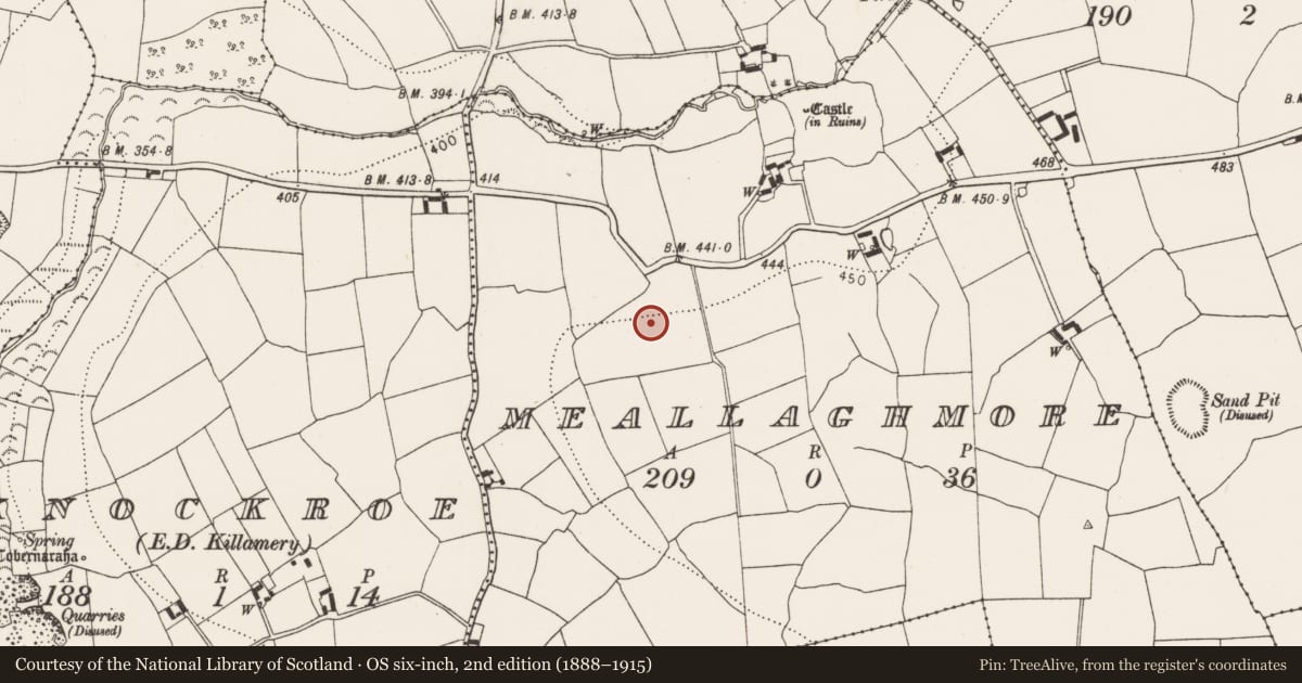 Ordnance Survey six-inch map, 2nd edition (1888–1915) covering the location of Souterrain, Meallaghmore, County Kilkenny, with a pin at the register's coordinates