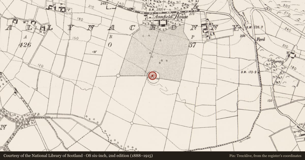 Ordnance Survey six-inch map, 2nd edition (1888–1915) covering the location of Decoy pond, Ballynacronny, County Kilkenny, with a pin at the register's coordinates