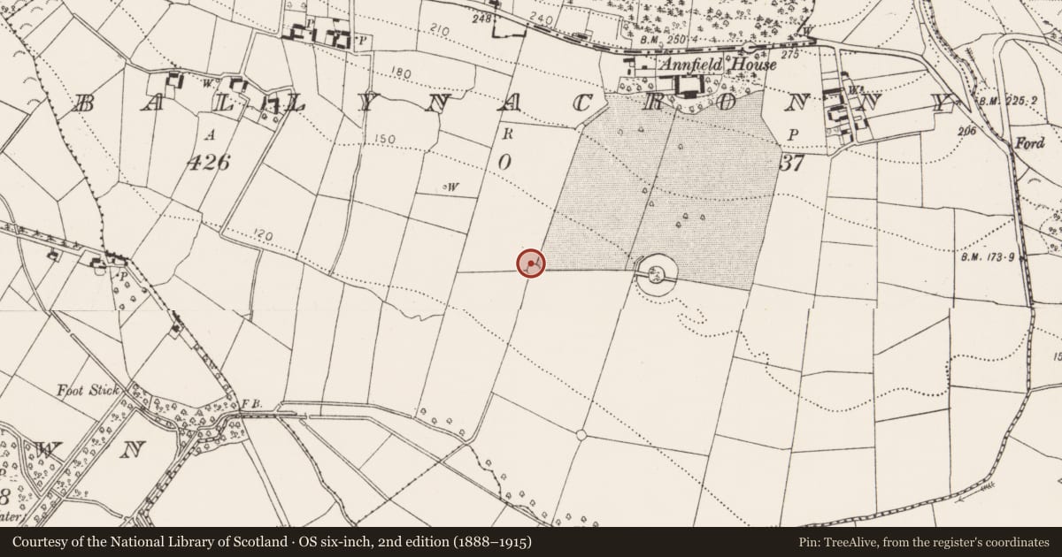 Ordnance Survey six-inch map, 2nd edition (1888–1915) covering the location of Designed landscape feature, Ballynacronny, County Kilkenny, with a pin at the register's coordinates