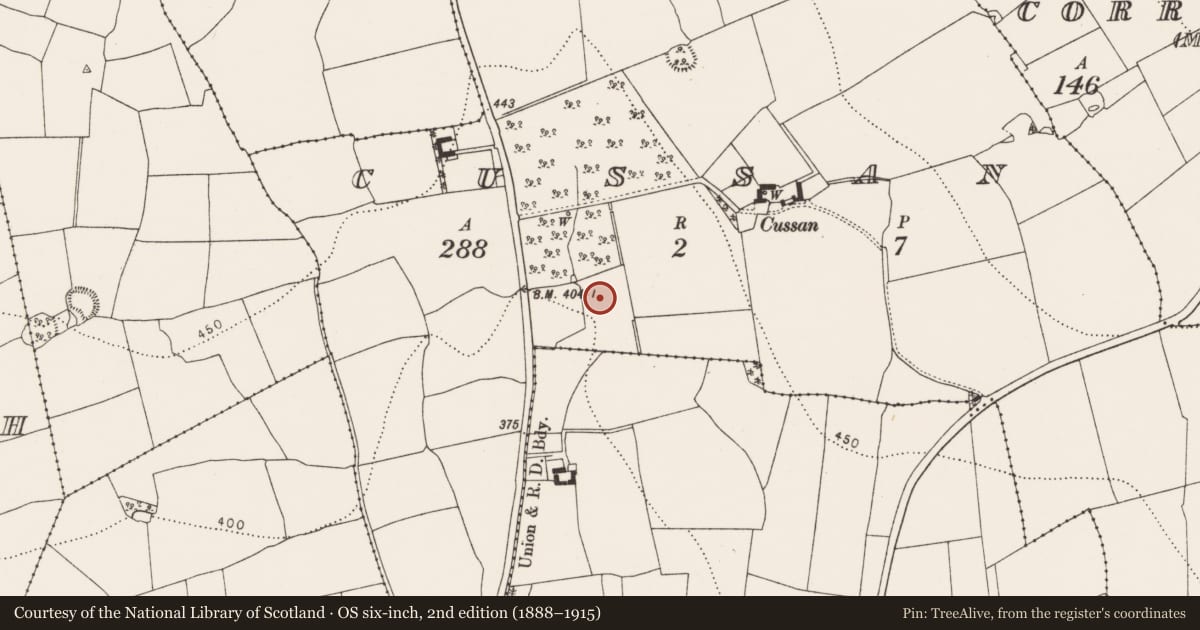Ordnance Survey six-inch map, 2nd edition (1888–1915) covering the location of Fulacht fia, Cussan, County Kilkenny, with a pin at the register's coordinates