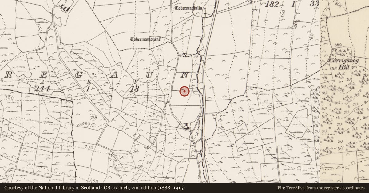 Ordnance Survey six-inch map, 2nd edition (1888–1915) covering the location of Cist, Bregaun, County Kilkenny, with a pin at the register's coordinates
