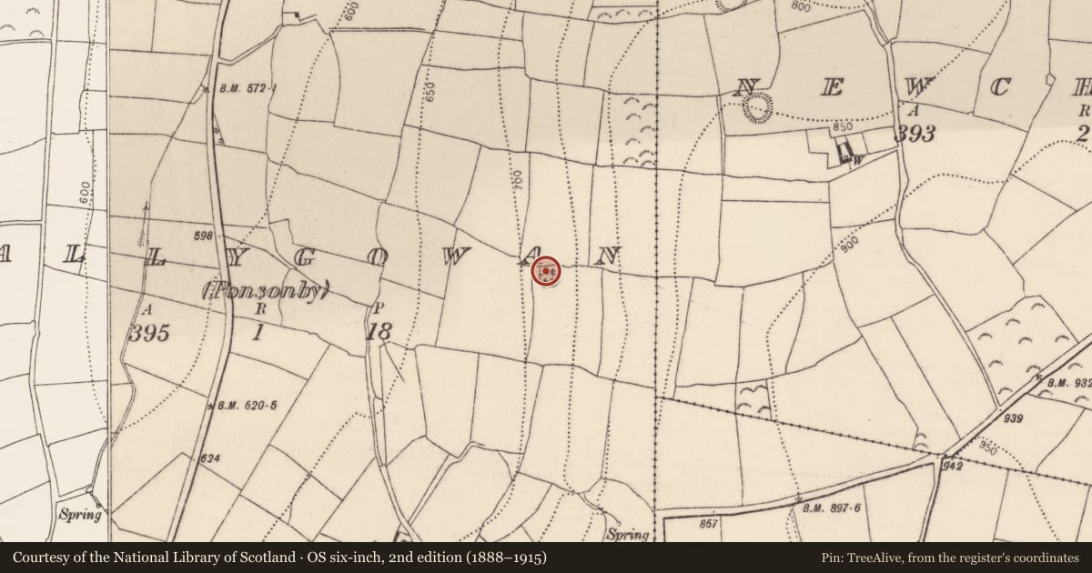 Ordnance Survey six-inch map, 2nd edition (1888–1915) covering the location of Ringfort - rath, Ballygowan (Ponsonby), County Kilkenny, with a pin at the register's coordinates