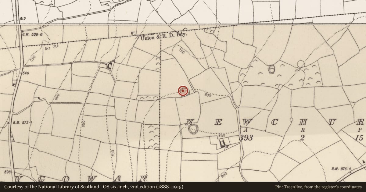 Ordnance Survey six-inch map, 2nd edition (1888–1915) covering the location of Ringfort - rath, Newchurch, County Kilkenny, with a pin at the register's coordinates