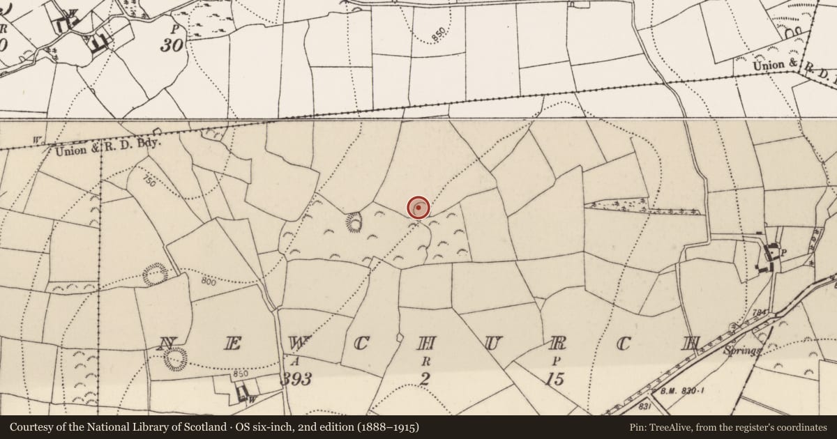 Ordnance Survey six-inch map, 2nd edition (1888–1915) covering the location of Ringfort - rath, Newchurch, County Kilkenny, with a pin at the register's coordinates
