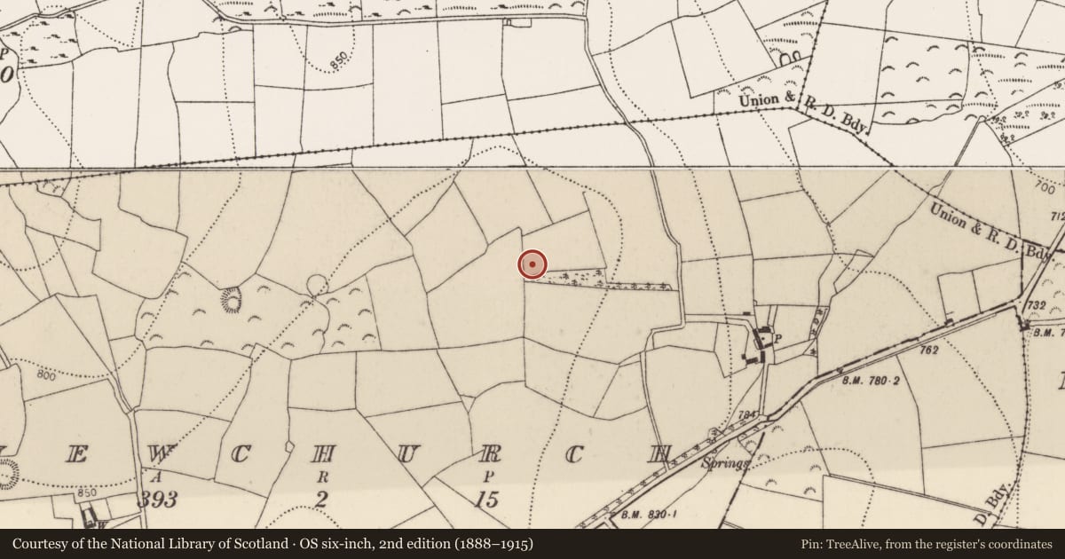 Ordnance Survey six-inch map, 2nd edition (1888–1915) covering the location of Barrow - ring-barrow, Newchurch, County Kilkenny, with a pin at the register's coordinates