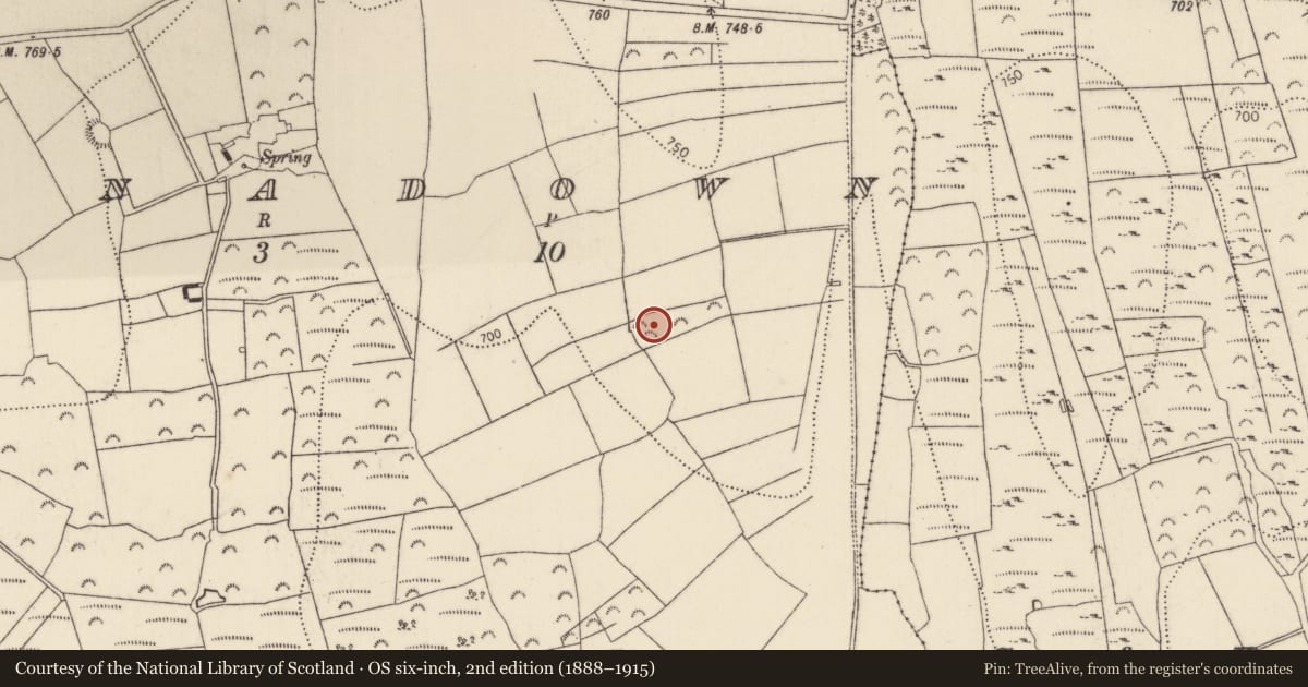 Ordnance Survey six-inch map, 2nd edition (1888–1915) covering the location of Ringfort - rath, Barnadown, County Kilkenny, with a pin at the register's coordinates