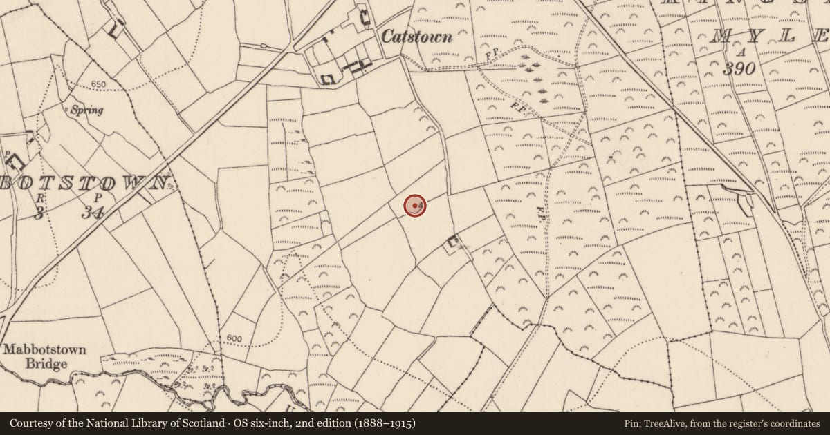 Ordnance Survey six-inch map, 2nd edition (1888–1915) covering the location of Ringfort - unclassified, Catstown, County Kilkenny, with a pin at the register's coordinates