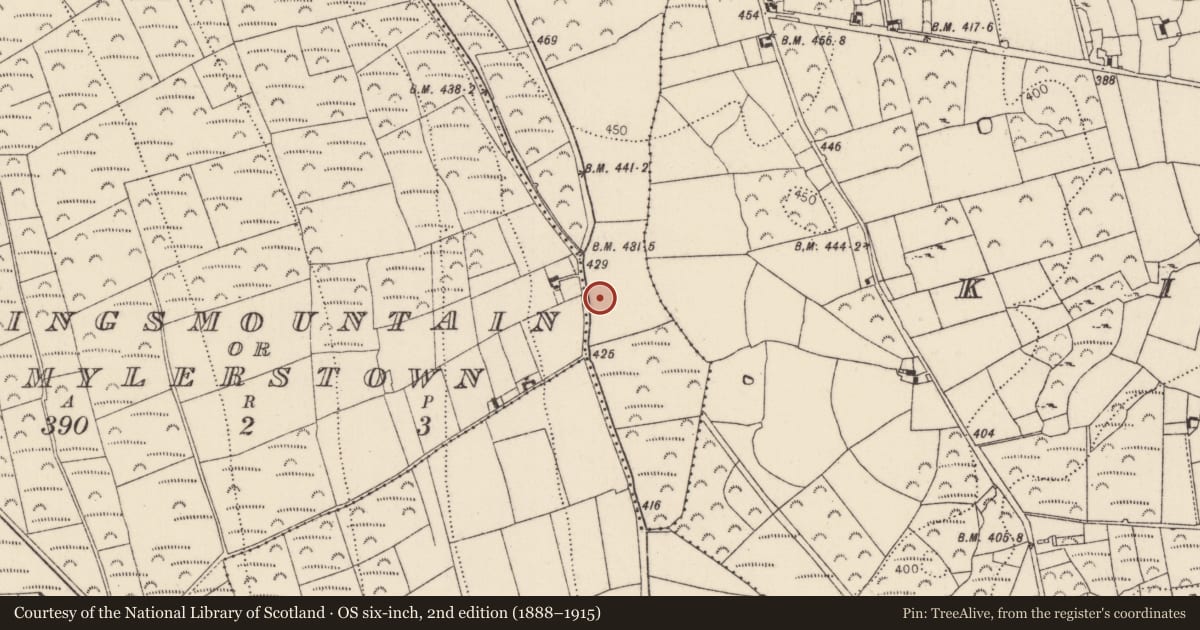 Ordnance Survey six-inch map, 2nd edition (1888–1915) covering the location of Fulacht fia, Kyleva, County Kilkenny, with a pin at the register's coordinates