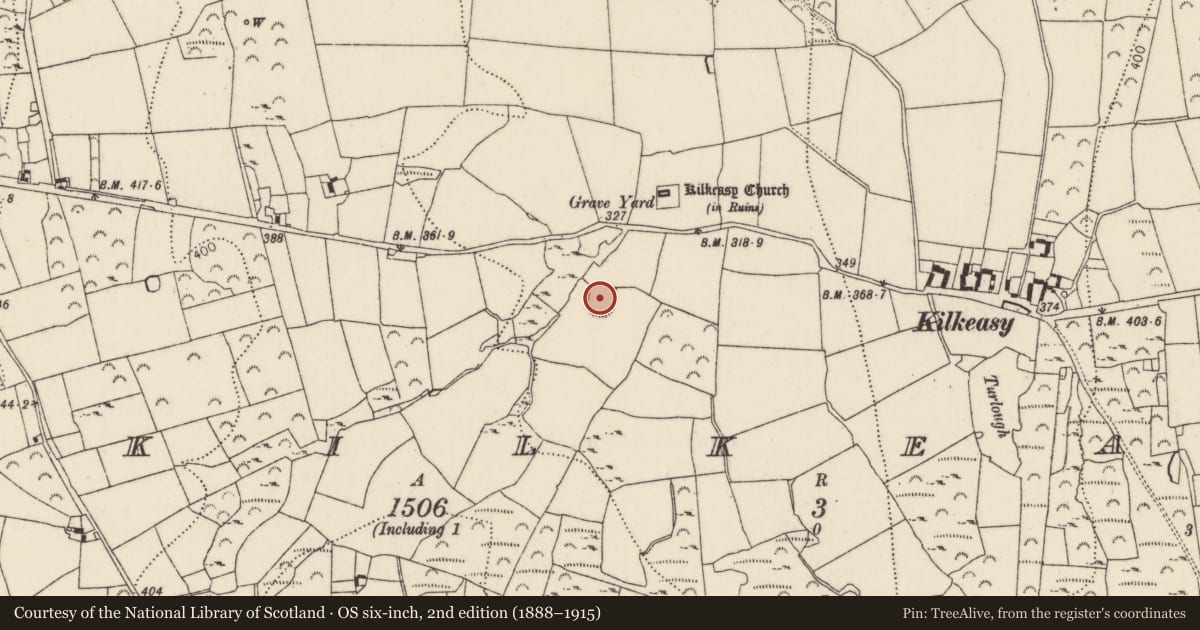 Ordnance Survey six-inch map, 2nd edition (1888–1915) covering the location of Cairn - unclassified, Kilkeasy, County Kilkenny, with a pin at the register's coordinates